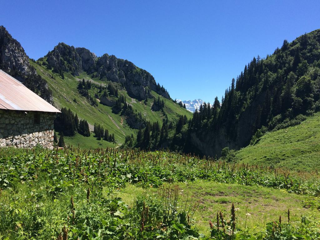 Les Balcons Du Leman Thollon-les-Memises Exterior foto
