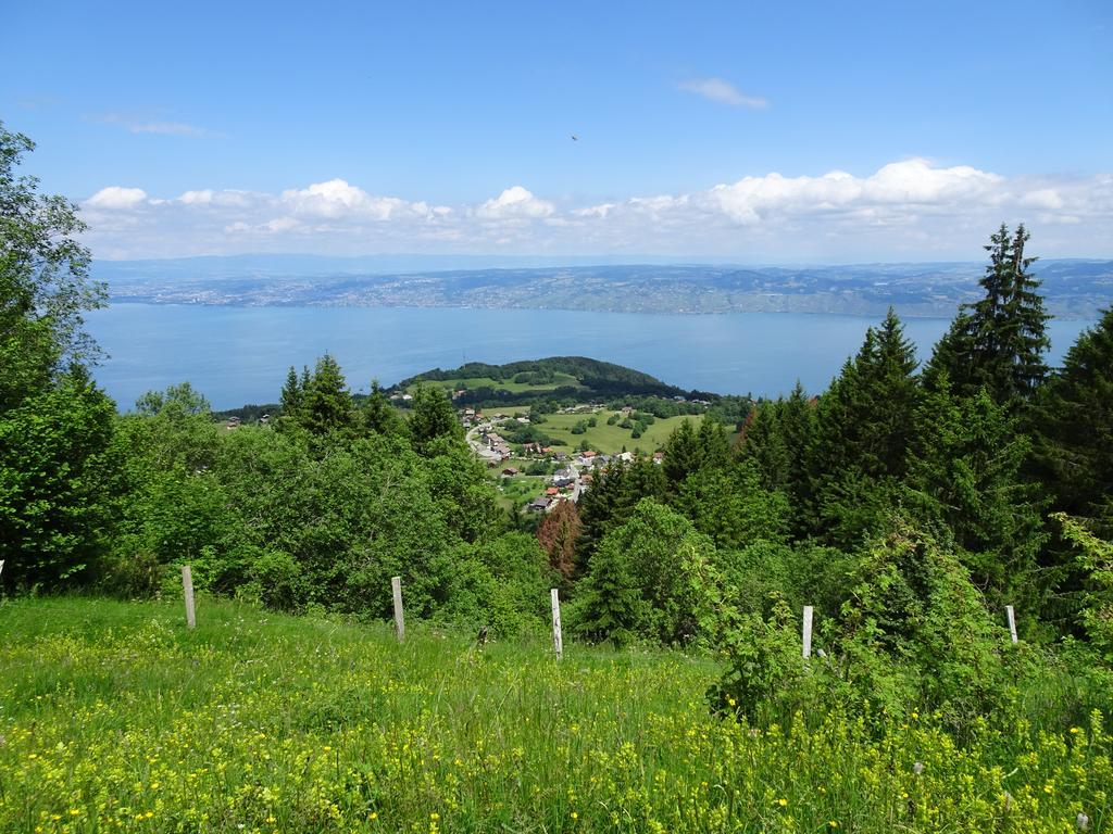 Les Balcons Du Leman Thollon-les-Memises Exterior foto